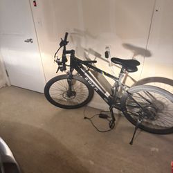 Electric Bike