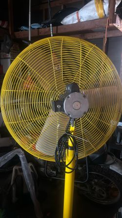Fan 