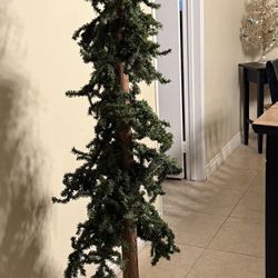 Tall Skinny Christmas Pine Tree 6ft