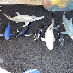 Toys