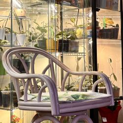 For Plant Lowers  New Aloe Case