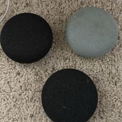 Google home mini