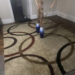 Area Rug 8x10 Huge