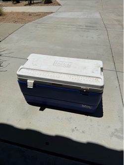 Igloo Cooler