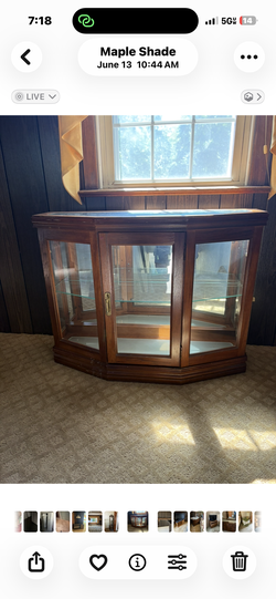 Wood Cabinet with Glass Top & Shelves
