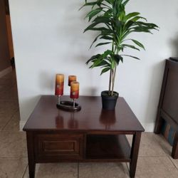 Center Table / Coffee Table 