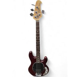 Brand New Sterling by Music Man Stingray Walnut Electric Bass Guitar