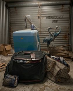Mystery Suitcases! Bid to win