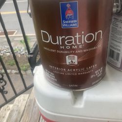 Paint