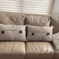 Decorative Sofa Pillows