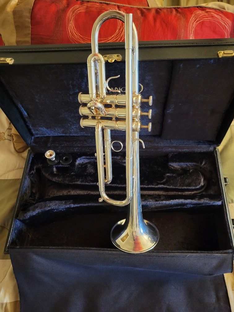 Beautiful Silver Kanstul Custom Built Tr