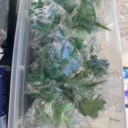 Fake Succulents 