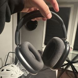 AirPod Maxes (brand New)