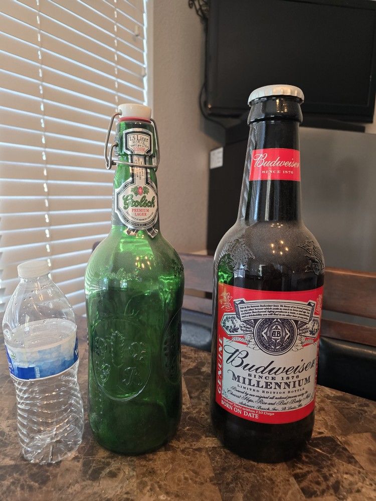 Budweiser And Grolsch Empty Bottles