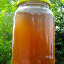 FRESH AERATED COMPOST TEA ONLY $9.98 FREE DELIVERY!!!