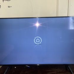 LG 55 inch TV 