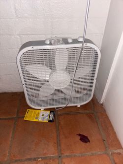 Fan