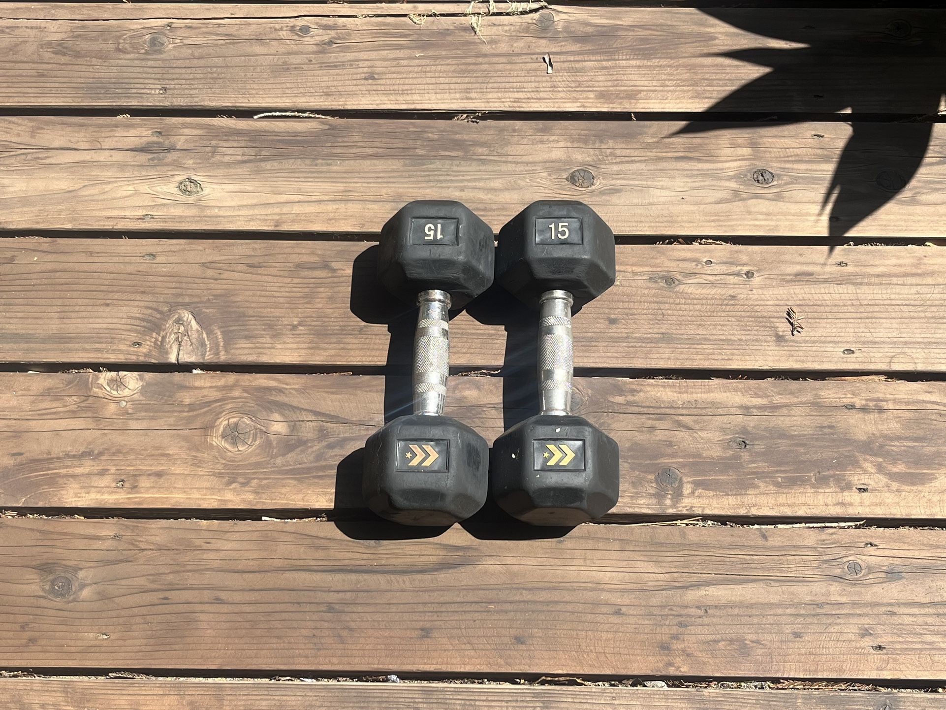 💪 15 LB Dumbbells – Feel the Burn, Build the Base 💪