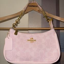 Pink Purse 