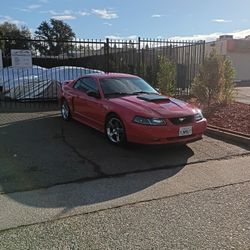 03 Mustang GT 5-speed Manual Straight Pipe Smogged Title In Hand Cobra Rims Aftermarket Headlights Aftermarket Tail Lights $190,000 Miles Runs Good Sm