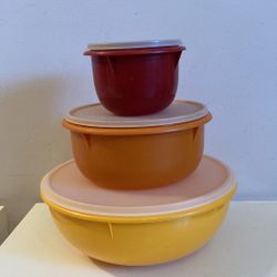 Pair of Large Vintage Tupperware Bowls with Lids