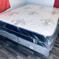 Queen size Foam Encased 12”thick with Regular Box Spring Brand New( FREE DELIVERY 🚚)