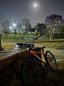 throne goon 29er