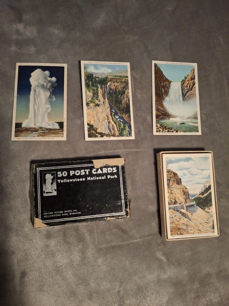 (45) Vintage Yellowstone National Park Postcards