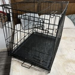 Animal Cage 