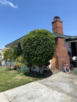 Jardinero 