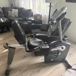 Schwinn 213 Recumbent Exercise Bike
