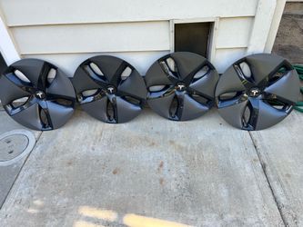 Tesla hubcap / wheel cover