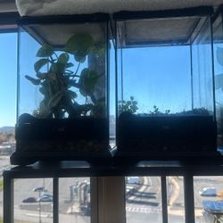 Exo Terra Nano Reptile