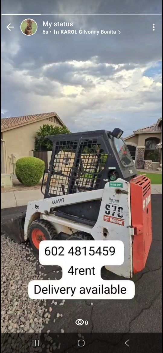 Bobcat  4rnt 
