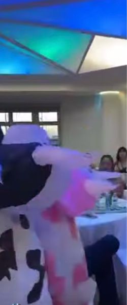 Pink and white Cow Costume