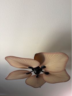 Free Fan
