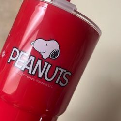 Peanuts Themed Cup