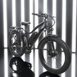 Electric Bike D E I L Y K