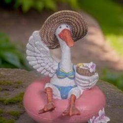 Pelican Enjoying Her Life 