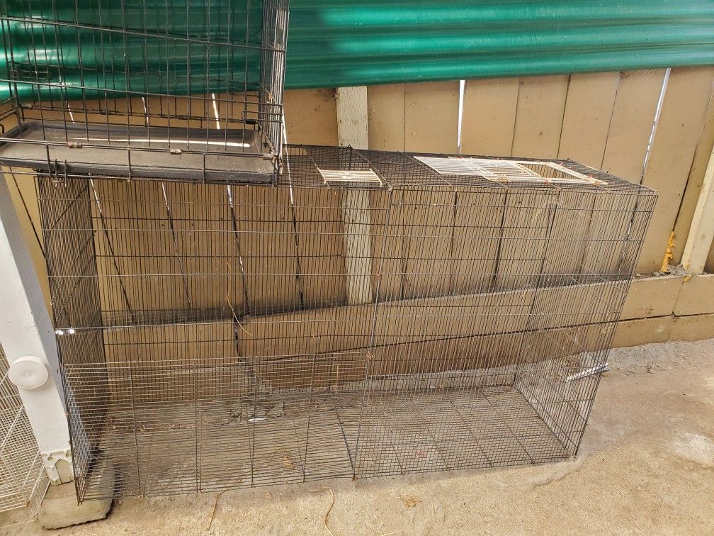 Bird Cages