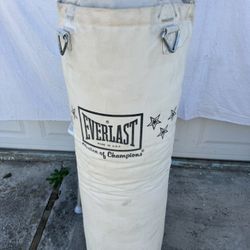 Everlast 100lb Canvas Heavy Bag
