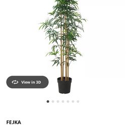 Faux Bamboo Plant