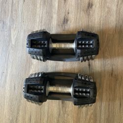 Adjustable Dumbells (10-50lbs)