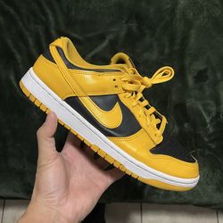 Sz 9.5 Nikes Dunks $40 FIRM NO TRADES