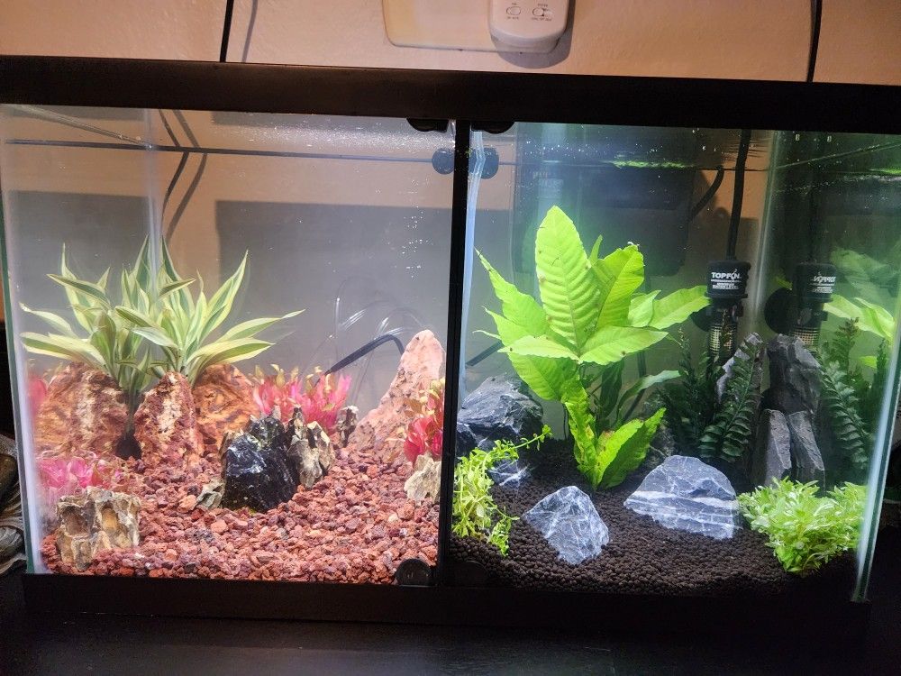 Fishtank