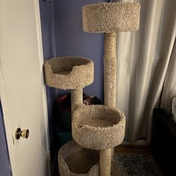 Cat Trees 
