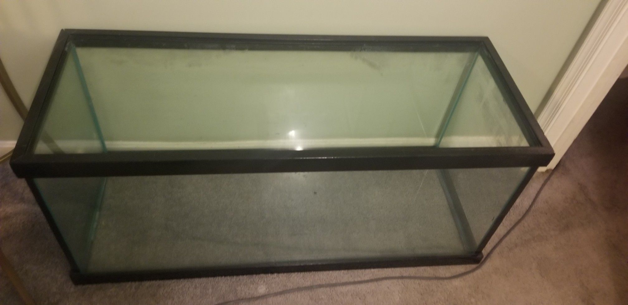 55 gallon or larger tank