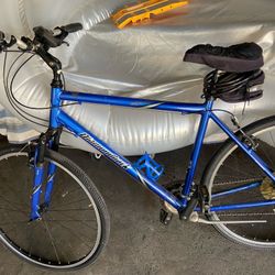 Diamondback Edgewood 