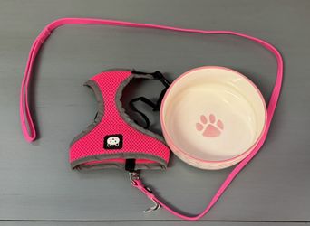 Pet Extra Small Leash Harness And Bowl Just $5 For All