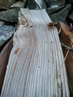 Firewood
